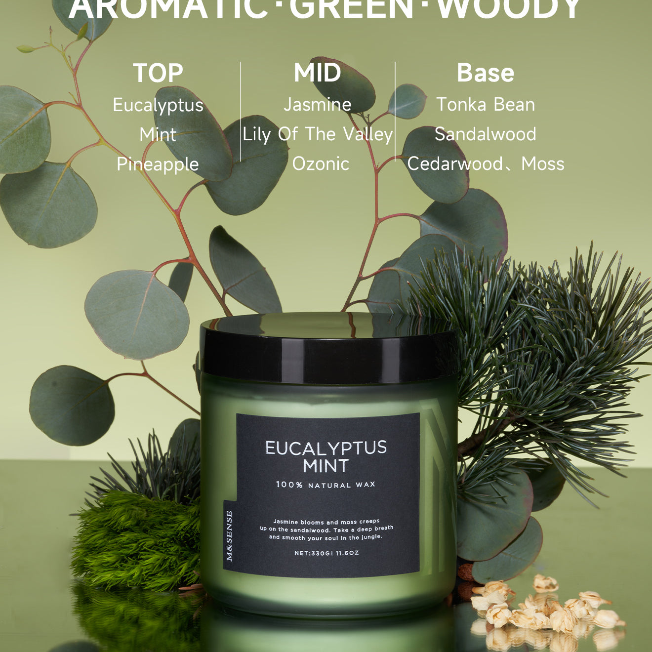 Eucalyptus mint scented candle in a green frosted jar, nestled among fresh eucalyptus and pine branches on a green background.