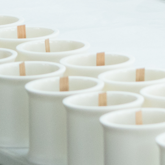 Row of white ceramic pots with wooden stakes on a white background