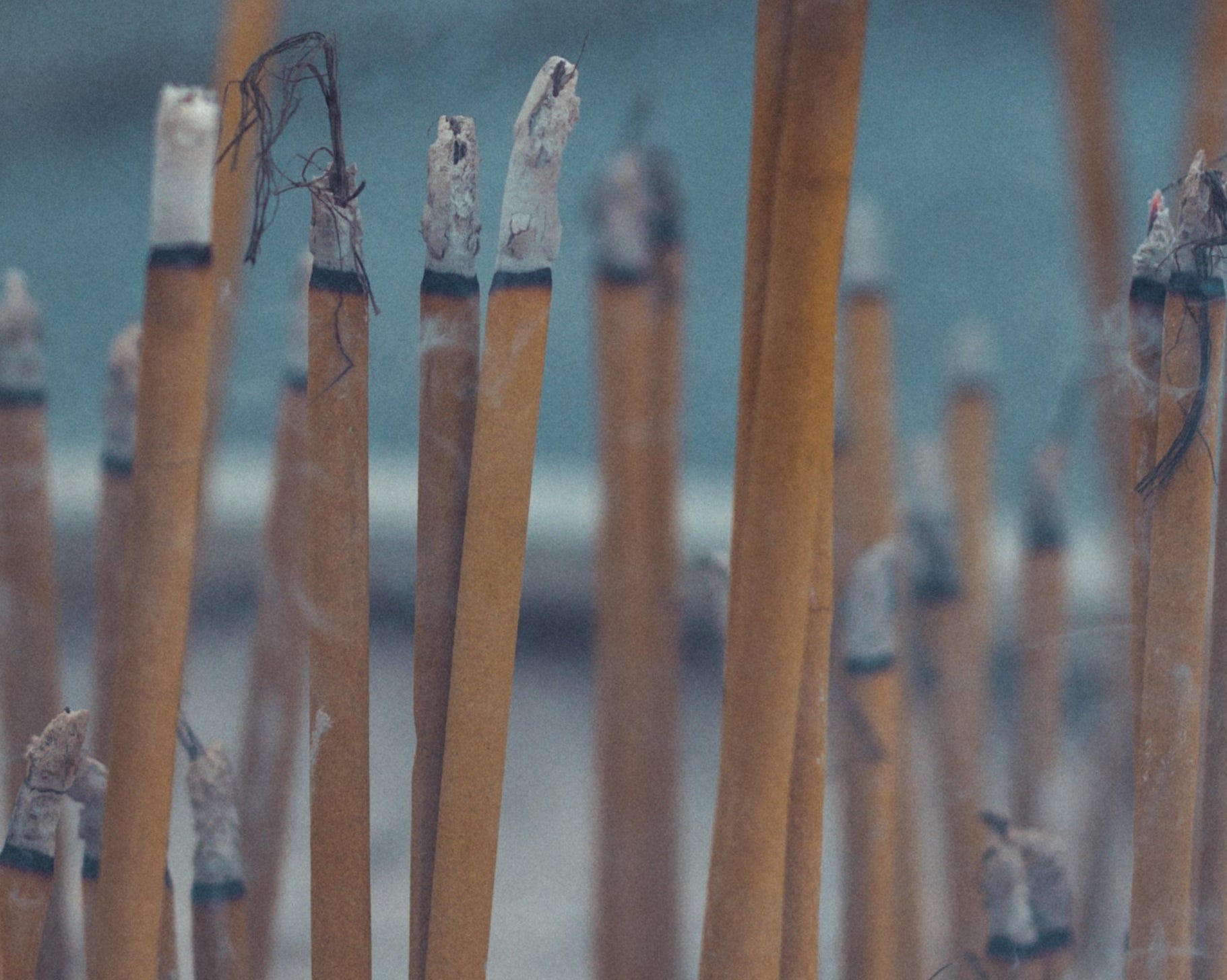 Close-up of incense sticks with blurred background
