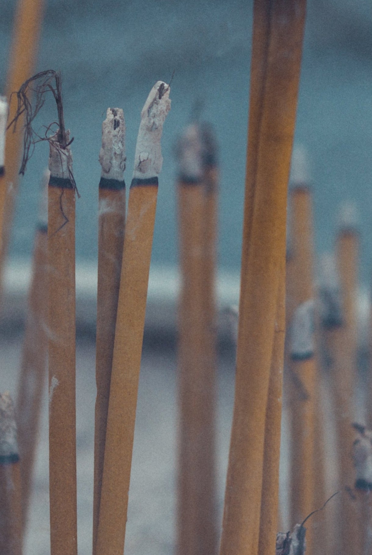 Close-up of incense sticks with blurred background