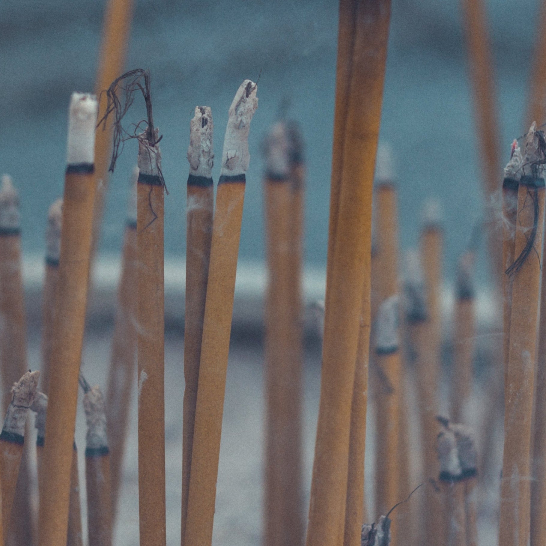 Close-up of incense sticks with blurred background