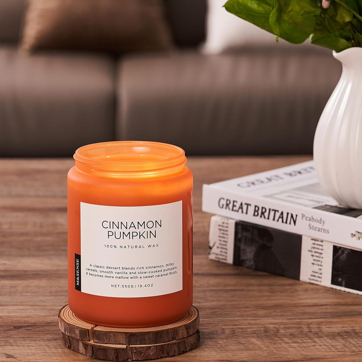 Cinnamon pumpkin candle on a wooden coaster with a couch and plant in the background