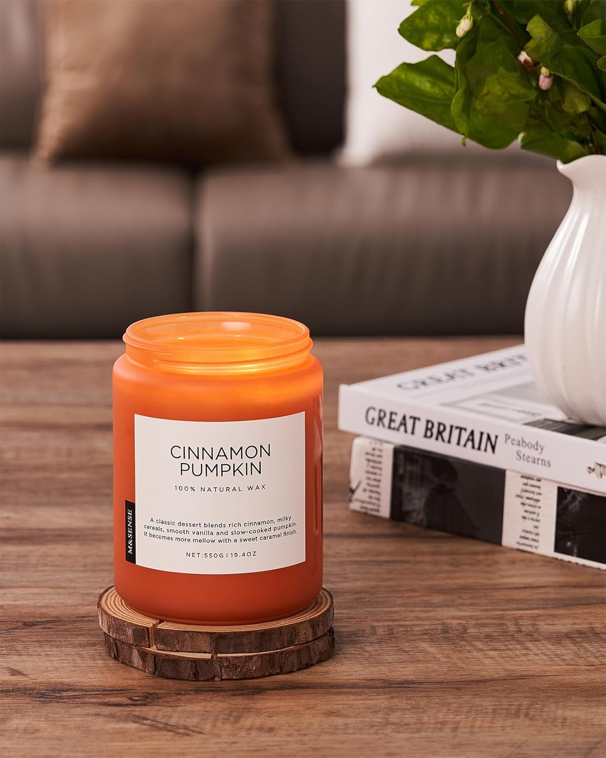 Cinnamon pumpkin candle on a wooden coaster with a couch and plant in the background