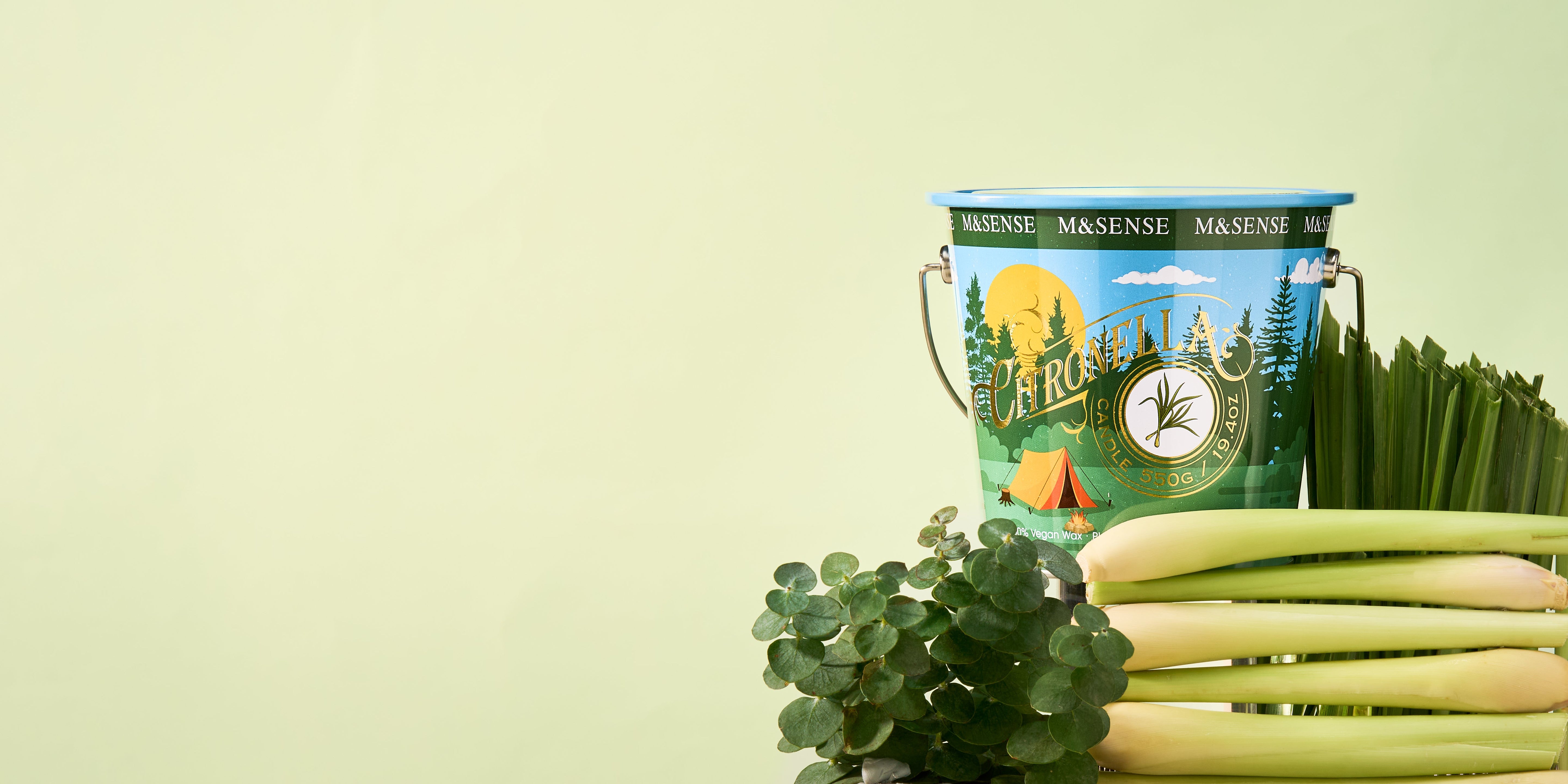 Citronella Scented Candles