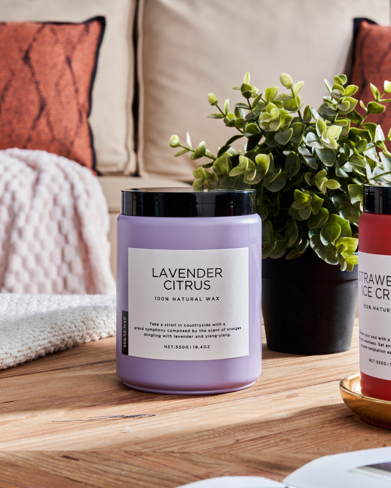 Lavender Citurs scented candle on a wooden table with a green plant, against a sofa background.