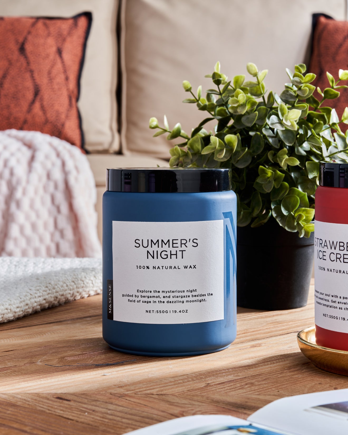 Blue Summer's Night scented candle on a wooden table with a green plant, against a sofa background.