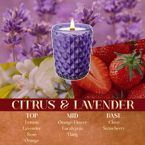 Citrus & Lavender Classic Candle